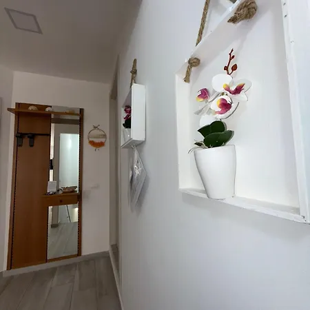 L'angolo Della Piazza *